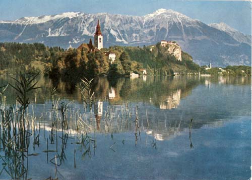 eika image